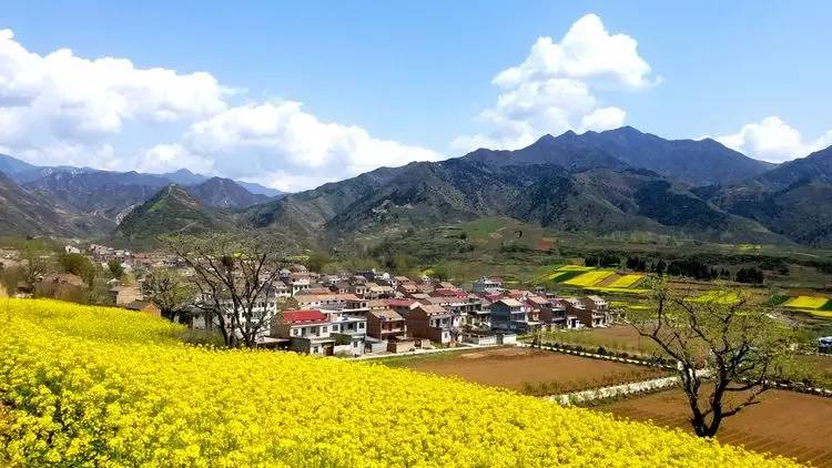 藍(lán)田縣2022年玉山鎮(zhèn)1.3萬(wàn)畝高標(biāo)準(zhǔn)農(nóng)田建設(shè)項(xiàng)目第3包（灌溉與排水）